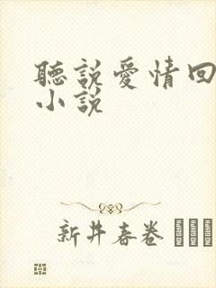 听说爱情回来过小说