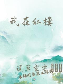 我在红楼