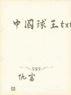 中国球王txt