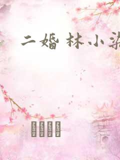 二婚 林小染