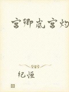 宫卿岚宫灼小说