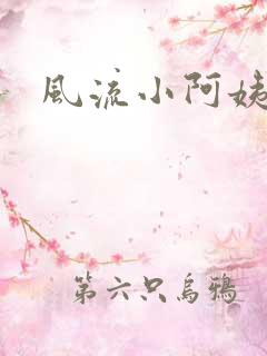 风流小阿姨