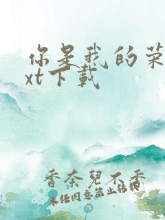 你是我的荣耀txt下载