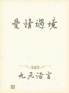 爱情过境
