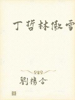 丁哲林傲雪小说