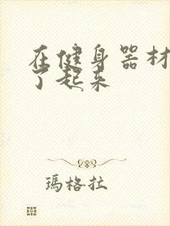 在健身器材上做了起来