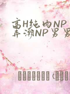 高H纯肉NP 弄潮NP男男