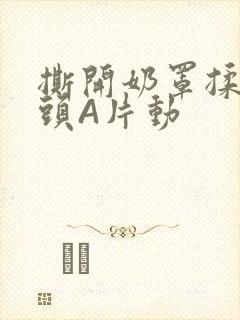 撕开奶罩揉吮奶头A片动