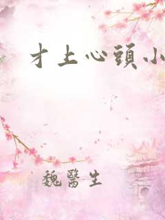 才上心头小说