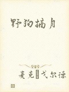 野狗摘月