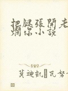 把腿张开老子臊烂你小说