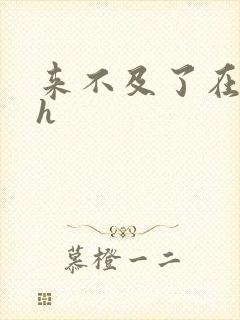 来不及了在车ch