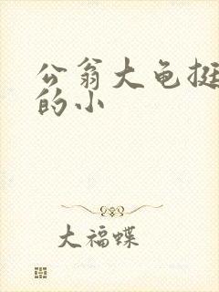 公翁大龟挺进我的小