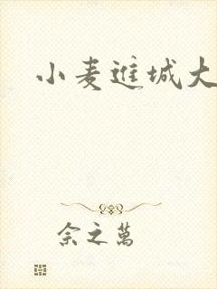 小麦进城大结局