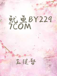 鱿鱼BY2297COM