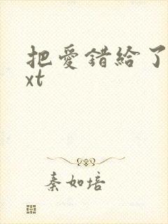 把爱错给了你txt