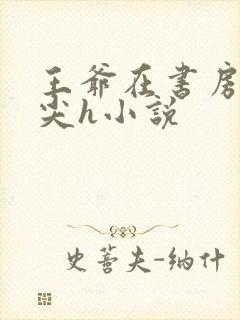 王爷在书房含乳尖h小说