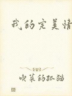 我的完美情人