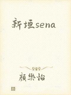 新垣sena