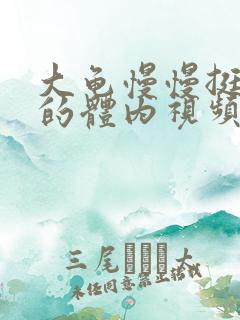 大龟慢慢挺进我的体内视频