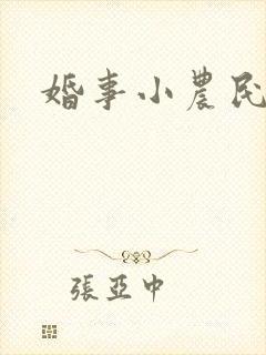 婚事小农民