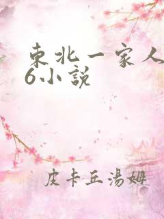 东北一家人1一6小说