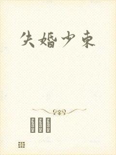 失婚少东