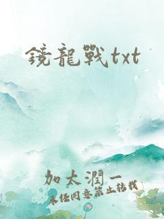 镜龙战txt
