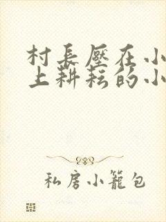 村长压在小娥身上耕耘的小说