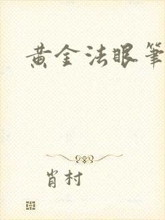 黄金法眼笔趣阁