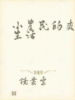 小农民的爽歪歪生活