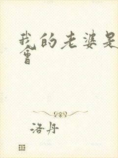 我的老婆是黑社会