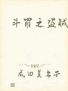 斗罗之盗贼