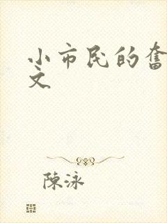 小市民的奋斗燃文