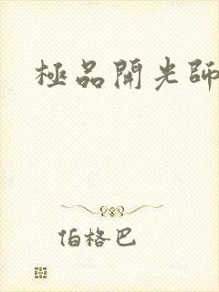 极品开光师