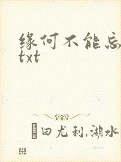 缘何不能忘记你txt