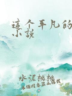 这个平凡的男子小说