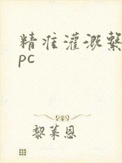 精准灌溉系统npc