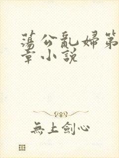 荡公乱妇第51章小说