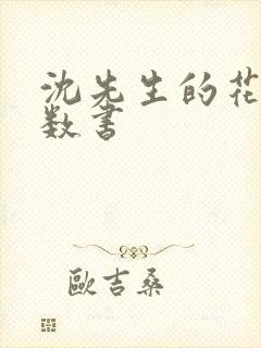 沈先生的花式调数书