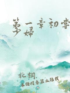 第一章初尝云雨少妇