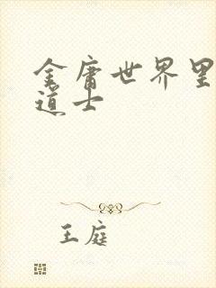 金庸世界里的小道士