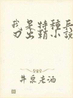 我是特种兵之利刃出鞘小说