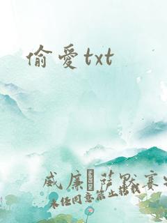 偷爱txt