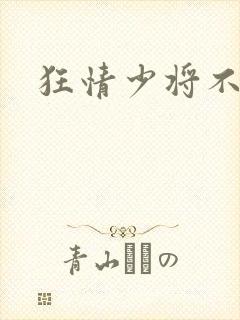 狂情少将不良妻