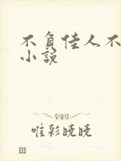 不负佳人不负卿小说