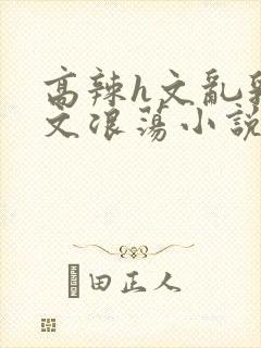 高辣h文乱乳h文浪荡小说