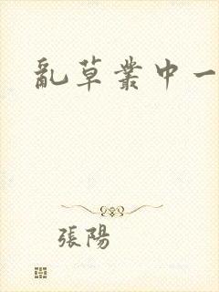 乱草丛中一杆枪