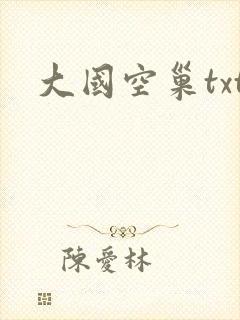 大国空巢txt