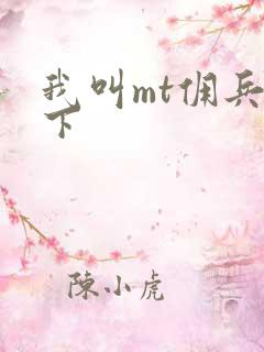 我叫mt佣兵天下
